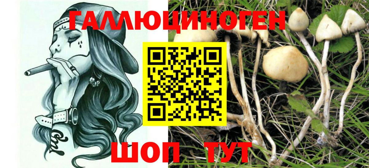 Нижнекамск  Галлюциногенные грибы мицелий  Вход с VPN 