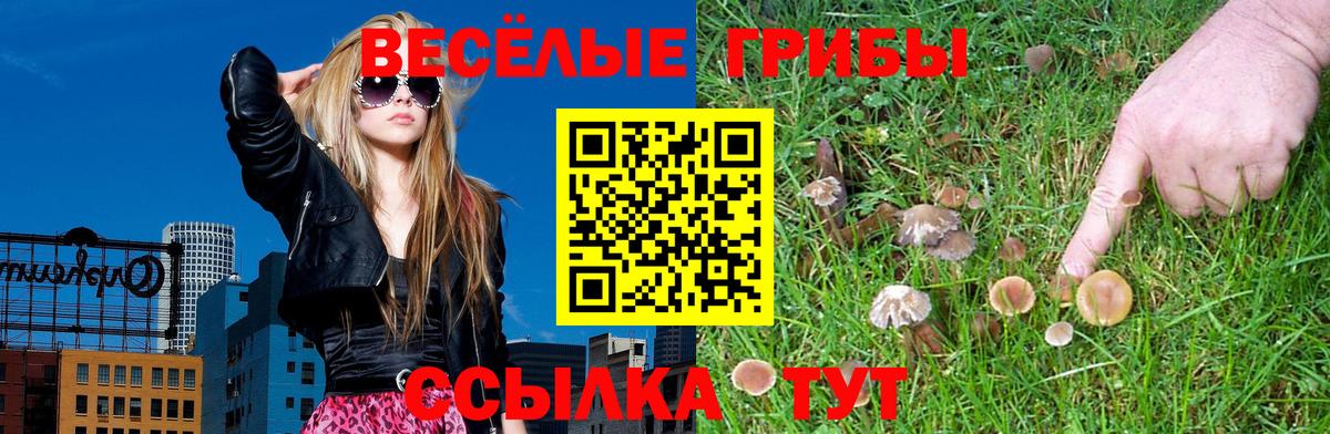Псилоцибиновые грибы Magic Shrooms Нижнекамск