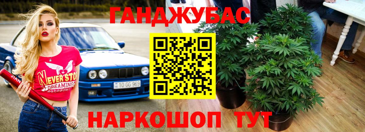 Шишки марихуана планчик Нижнекамск